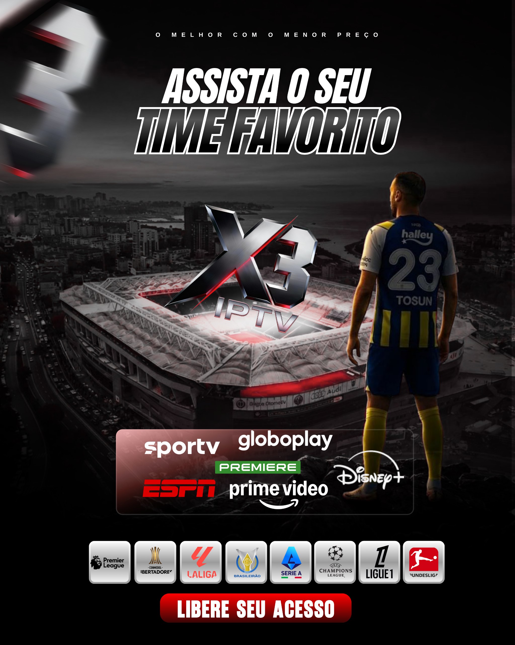 O Seu Time Favorito